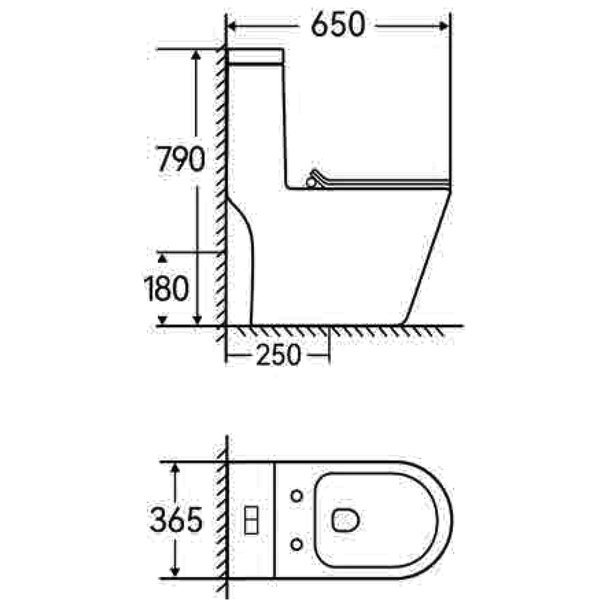SANIKB TC-58175H one-piece toilet dimension drawing, 650 × 365 × 790 mm