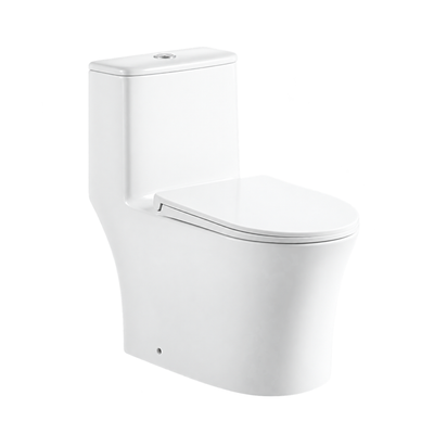 SANIKB TC-58182H rimless one piece toilet 10 inch rough in