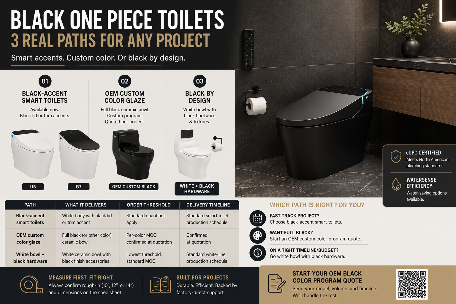 Black One-Piece Toilets: Available Options & OEM Custom Color Programs