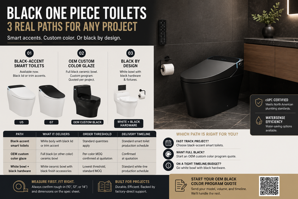 Black One-Piece Toilets: Available Options & OEM Custom Color Programs