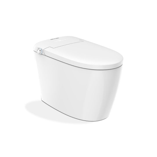 Smart Bidet Toilet Manufacturer for OEM/ODM Supply - Model ZY07