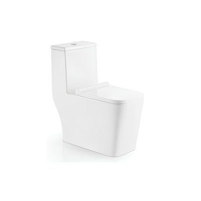 Ceramic one-piece toilet with elongated bowl — SANIKB 2025