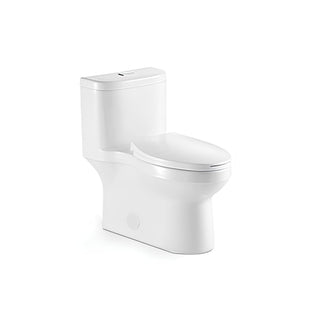 Ceramic one-piece toilet with dual-flush button and elongated bowl — SANIKB 2023