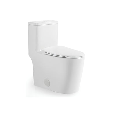 Ceramic one-piece toilet with dual-flush button and elongated bowl — SANIKB 2213