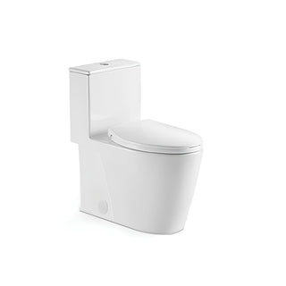 Ceramic one-piece toilet with elongated bowl — SANIKB 2026