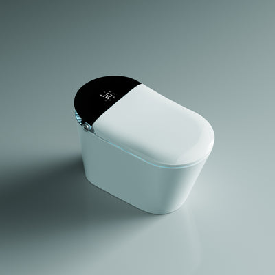 Smart Toilets