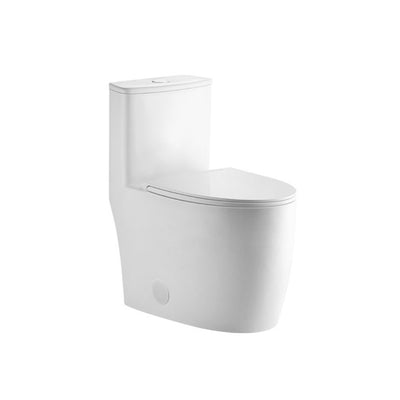 SANIKB 1916 — Tornado Flush One-Piece Toilet, 3-Inch Flush Valve, Fully Glazed Trapway