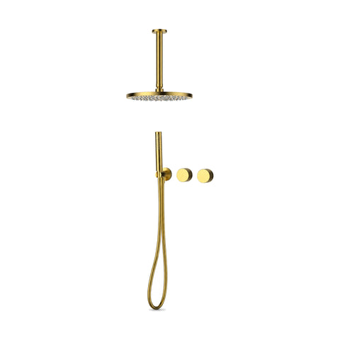 Brushed Gold / Stainless Steel