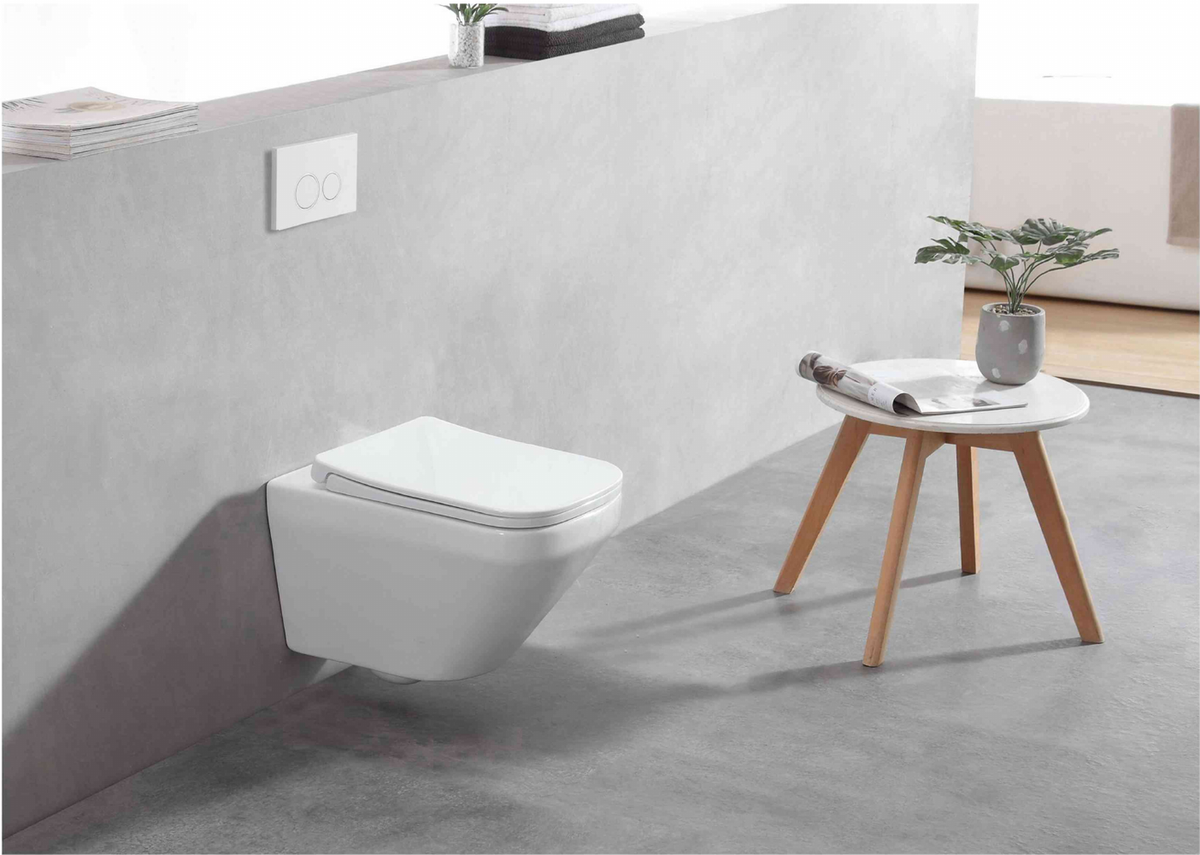 SANIKB FT-248 19 inch swirl flush wall hung toilet, installed scene