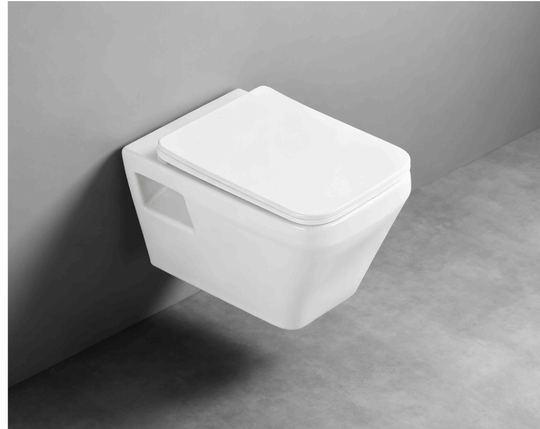 SANIKB FT-824 21 inch swirl flush wall hung toilet, installed scene