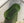 Green Rounded Rectangle Transparent Bathtub with Thick Base; original factory model TW-8603T catalogue detail view 1