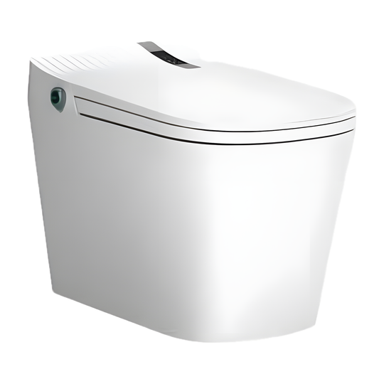 SANIKB H869 high tech bidet toilet