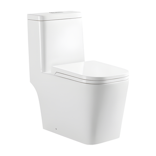 SANIKB HSJ-1135 27 inch washdown one piece toilet 10 inch rough in