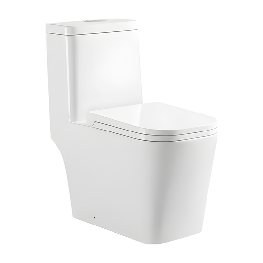 SANIKB HSJ-1135 27 inch washdown one piece toilet 10 inch rough in
