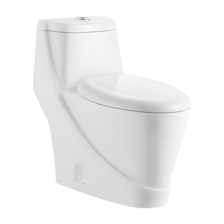 SANIKB HSJ-2202 27 inch washdown one piece toilet 10/12 inch rough in
