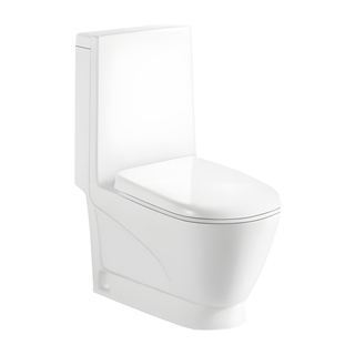 SANIKB HSJ-2368 29 inch washdown one piece toilet 10/12 inch rough in