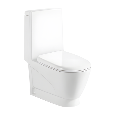 SANIKB HSJ-2368 29 inch washdown one piece toilet 10/12 inch rough in
