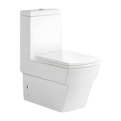 SANIKB HSJ-2496 hsj-2496 washdown one piece toilet