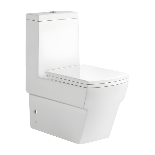 SANIKB HSJ-2496 hsj-2496 washdown one piece toilet