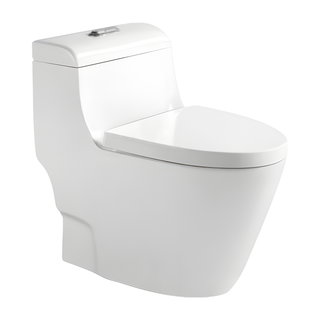 SANIKB HSJ-2499 30 inch washdown one piece toilet