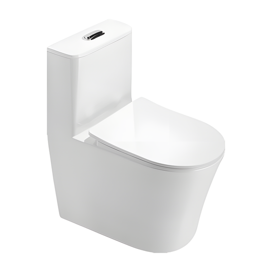 SANIKB HSJ-2531 23 inch swirl flush one piece toilet 12 inch rough in