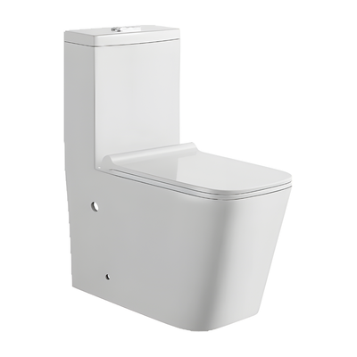 SANIKB HSJ-2555 30 inch washdown one piece toilet 12 inch rough in