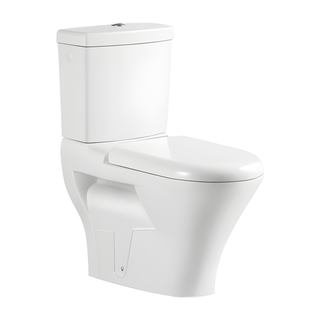 SANIKB HSJ-3008 27 inch washdown two piece toilet 10 inch rough in
