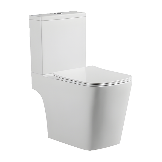 SANIKB HSJ-3046 26 inch washdown two piece toilet 10 inch rough in