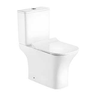 SANIKB HSJ-3048 rimless washdown two piece toilet 10 inch rough in