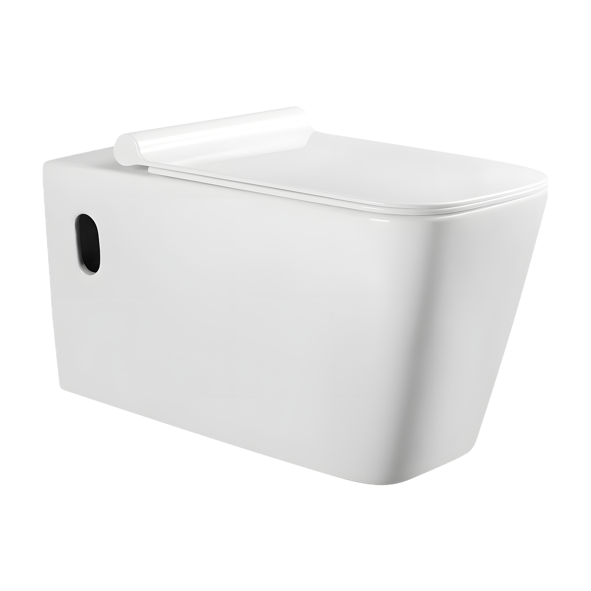 SANIKB LJ-A03 wall-hung toilet, Oval side hole / White
