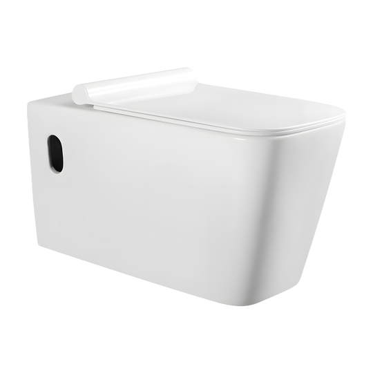 SANIKB LJ-A03 wall-hung toilet, Oval side hole / White
