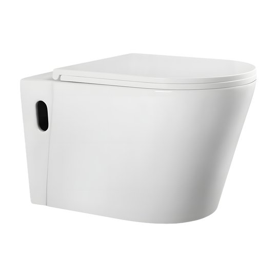 SANIKB LJ-A06 wall-hung toilet, White