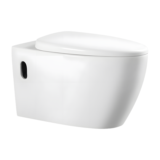 SANIKB LJ-A07 washdown wall hung toilet 170mm p trap