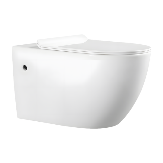 SANIKB LJ-A09 wall-hung toilet, Glossy White