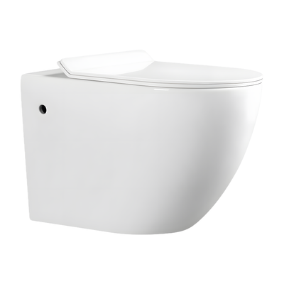 SANIKB LJ-A09E 550mm washdown wall hung toilet