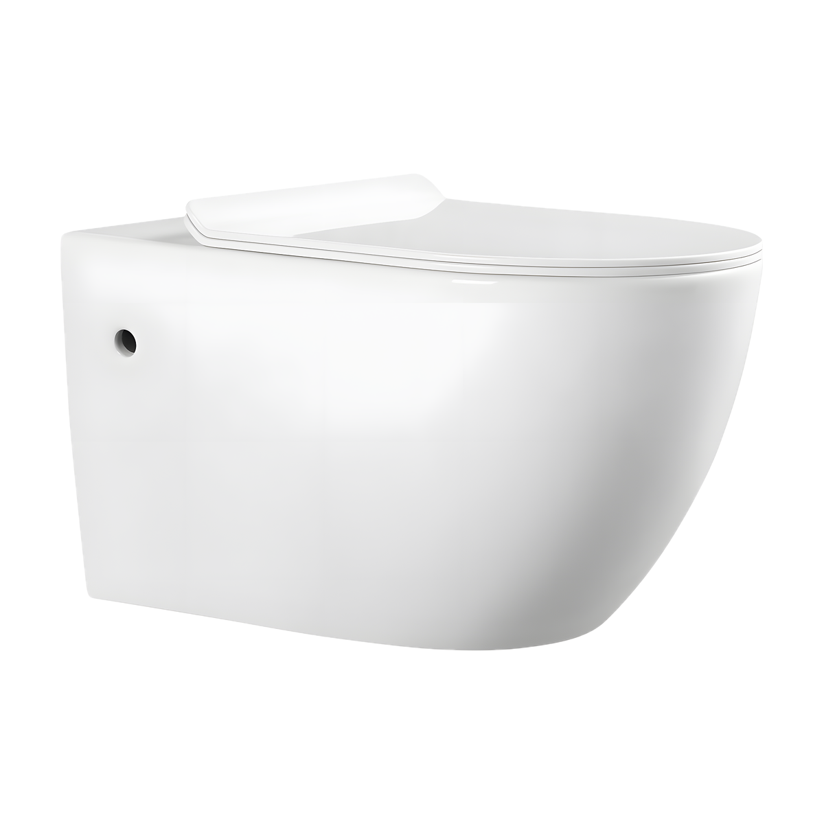 SANIKB LJ-A09H wall-hung toilet, White