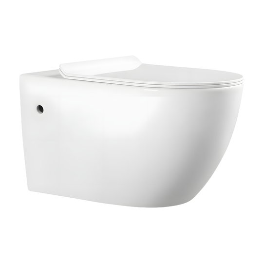 SANIKB LJ-A09H wall-hung toilet, White