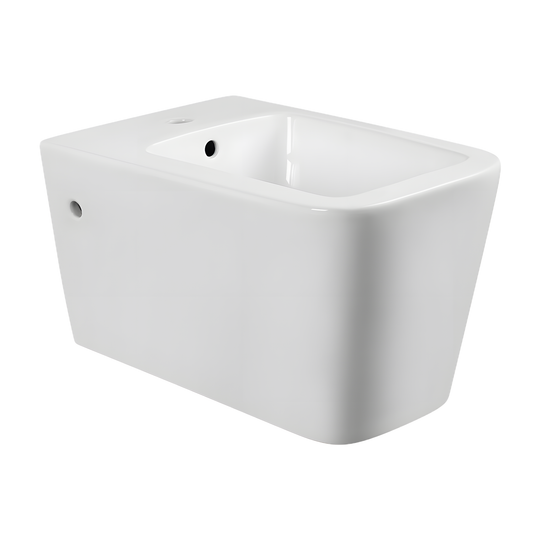 SANIKB LJ-D03WH bidet, White