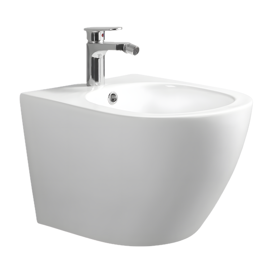 SANIKB LJ-DE09 19 inch ceramic bidet