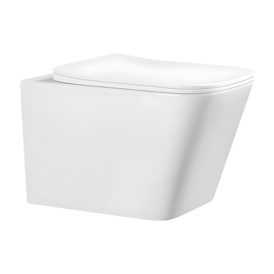 SANIKB LJ-E03 wall-hung toilet, White