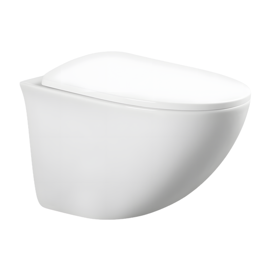 SANIKB LJ-E06 wall mounted back outlet toilet