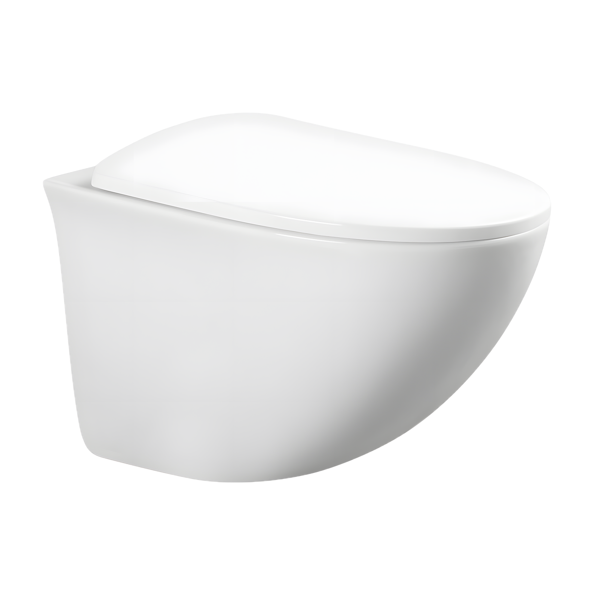 SANIKB LJ-E06 wall mounted back outlet toilet