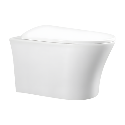 SANIKB LJ-E07 rimless wall hung toilet