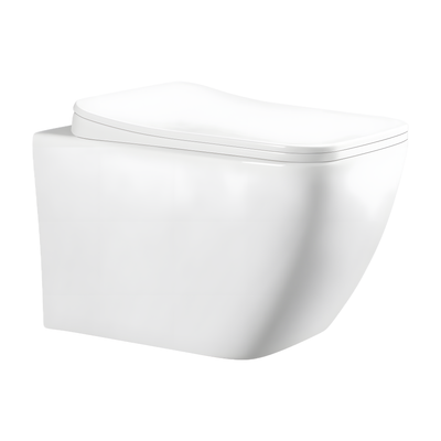 SANIKB LJ-E08 wall-hung toilet, White