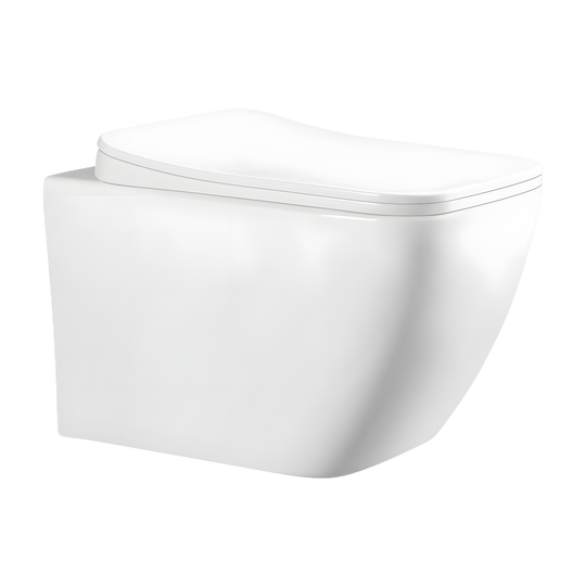 SANIKB LJ-E08 wall-hung toilet, White
