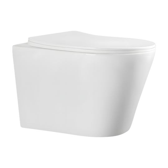SANIKB LJ-E09S hanging toilet