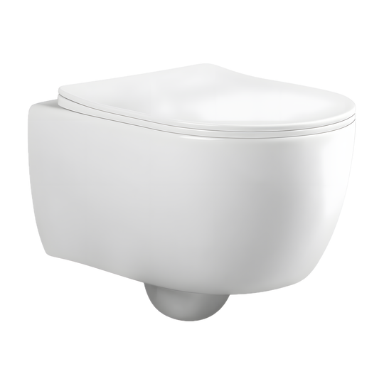 SANIKB LJ-E10 19 inch rimless wall hung toilet