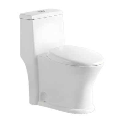 SANIKB NBK-3005 one piece toilet 10 inch rough in