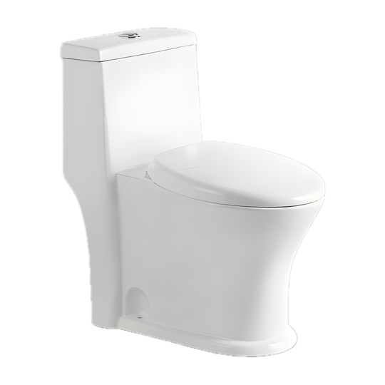 SANIKB NBK-3005 one piece toilet 10 inch rough in