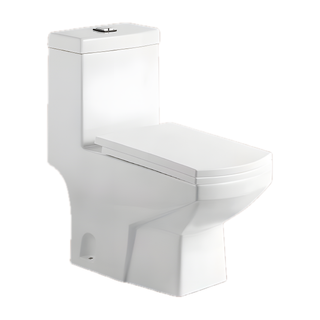 SANIKB NBK-3053 floor mounted rear outlet toilet